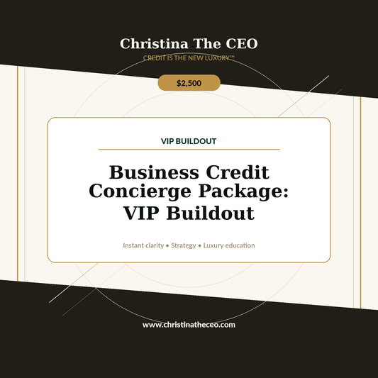 Christina The CEO luxury branded product cover for Business Credit Concierge VIP Buildout